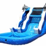 Dolphin Water Slide